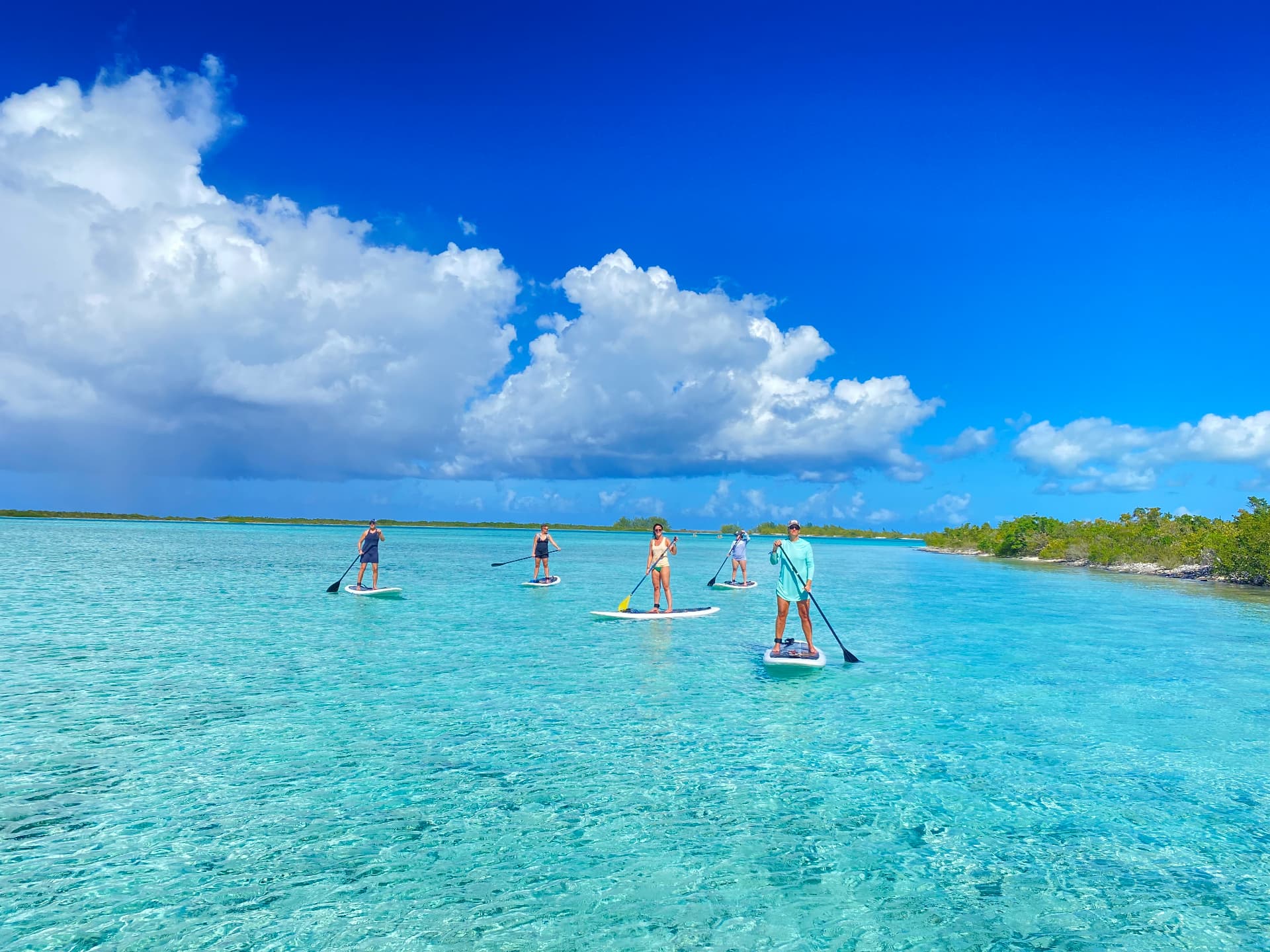 Group paddleboard tour crossing the mangrove flats of Turks and Caicos